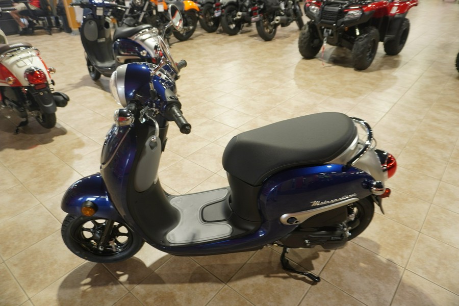 2025 Honda METROPOLITAN