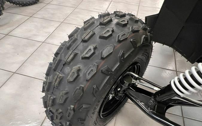 2026 Polaris Outlaw 110 EFI