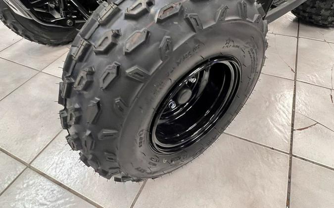 2026 Polaris Outlaw 110 EFI