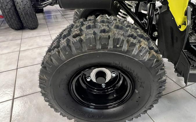 2026 Polaris Outlaw 110 EFI