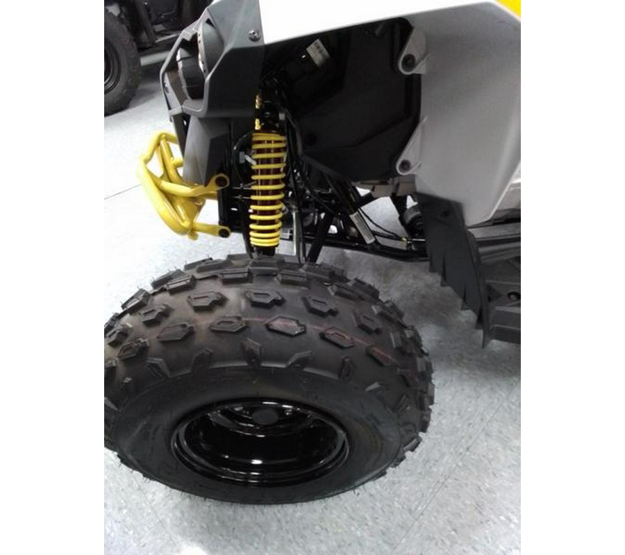 2024 Can-Am® Renegade 110 EFI