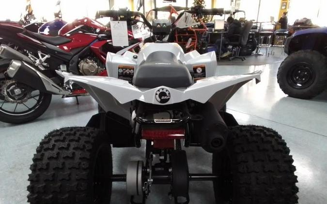 2024 Can-Am® Renegade 110 EFI