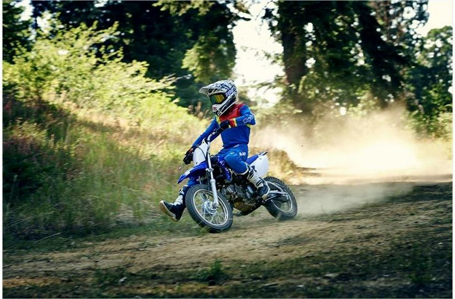 2019 Yamaha TTR110