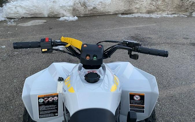 2026 Can-Am Renegade 70 EFI