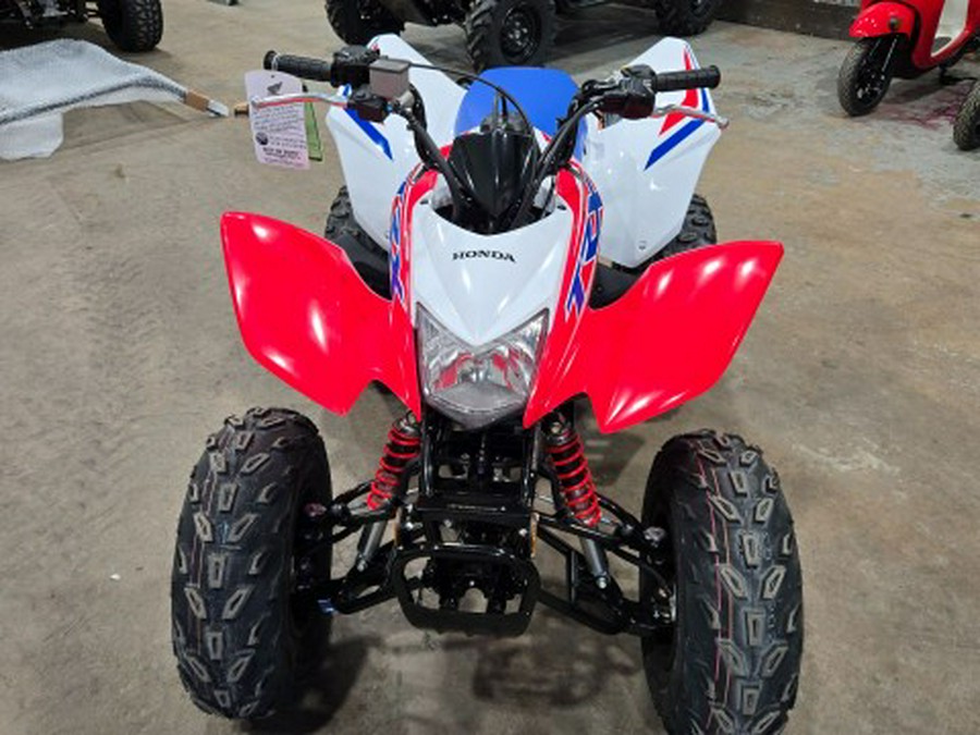 2026 Honda TRX250X