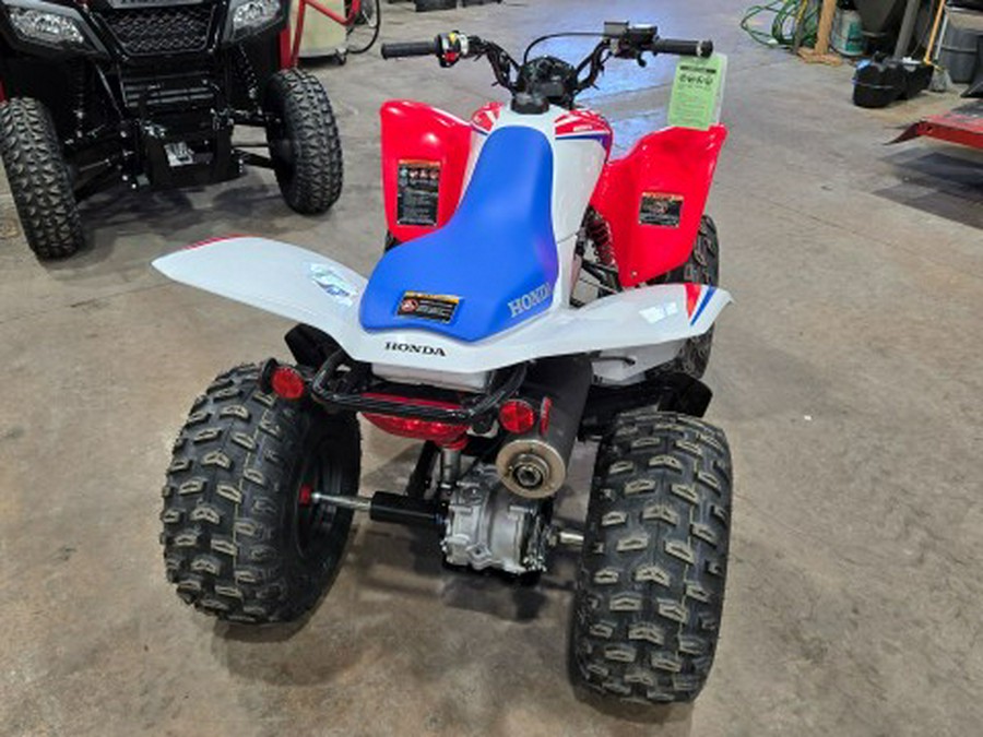 2026 Honda TRX250X