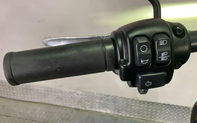 2021 Harley-Davidson Low Rider®S