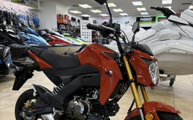 2025 Kawasaki Z125 PRO
