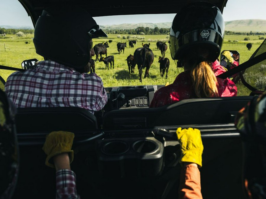 2026 CFMOTO UFORCE 800 XL