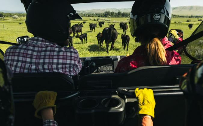 2026 CFMOTO UFORCE 800 XL