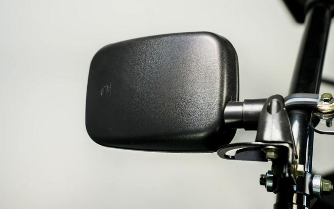 2026 TRAILMASTER POWERSPORTS CHEETAH 200EX-EFI