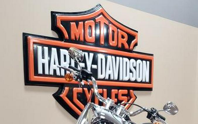 2024 Harley-Davidson® FLFBS - Fat Boy® 114