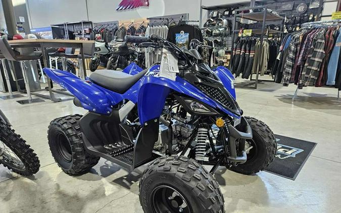 2026 Yamaha Raptor 110