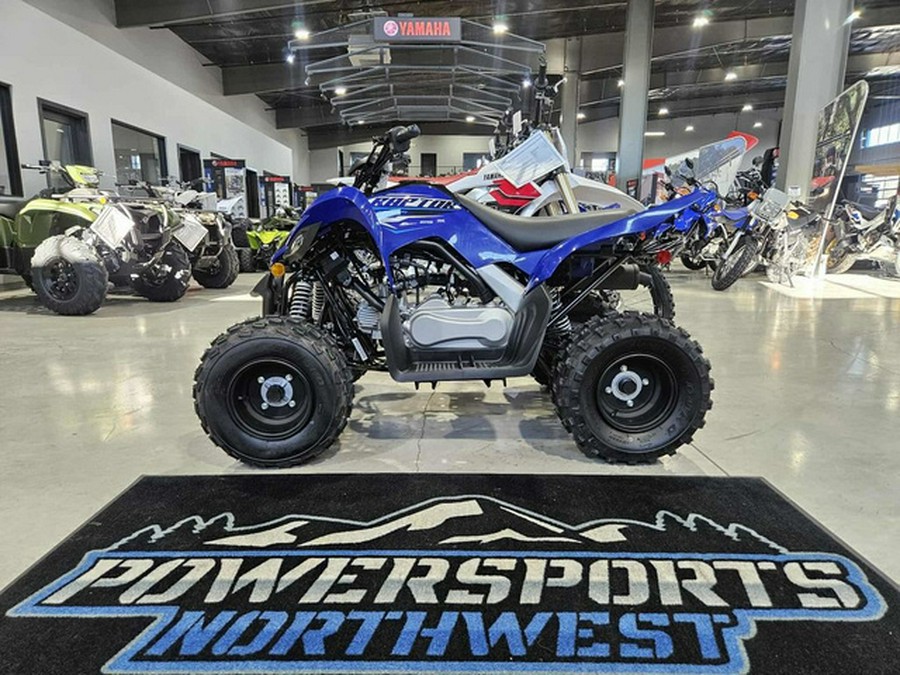 2026 Yamaha Raptor 110