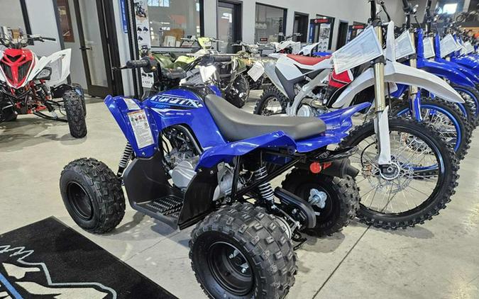 2026 Yamaha Raptor 110