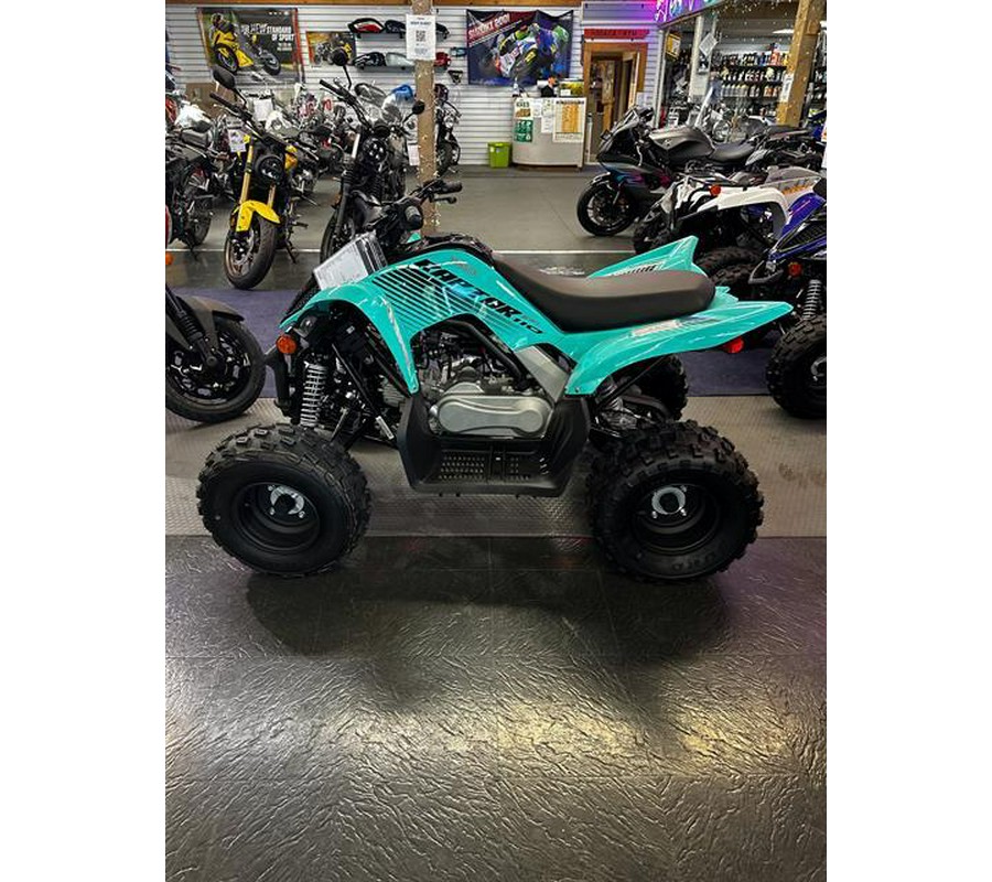 2024 Yamaha Raptor 110