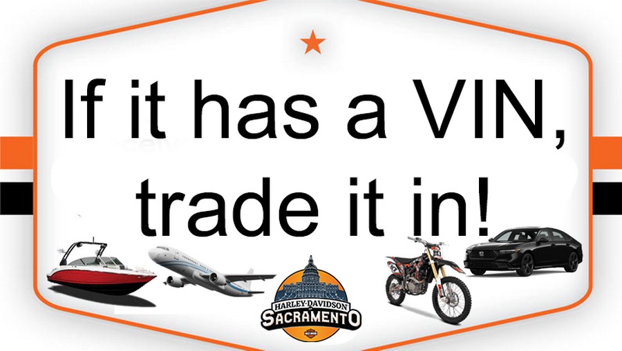 Harley-Davidson Softail Standard 2024 FXST 84508102 VIVID BLACK