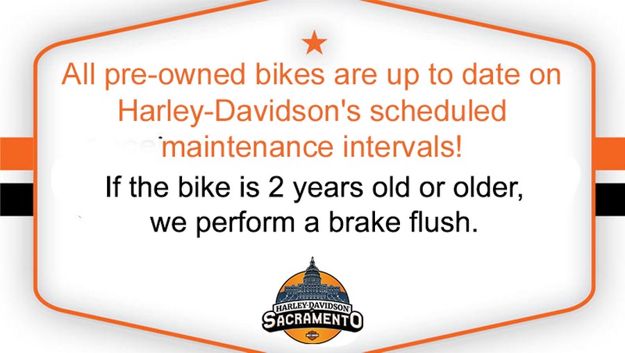 Harley-Davidson Softail Standard 2024 FXST 84508102 VIVID BLACK