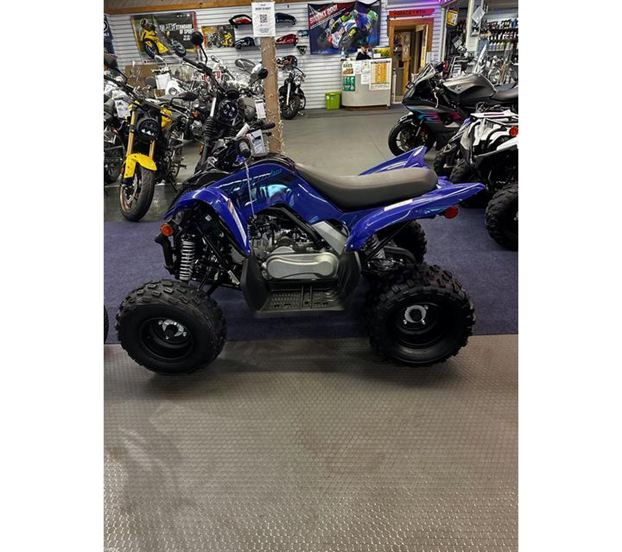 2024 Yamaha Raptor 110