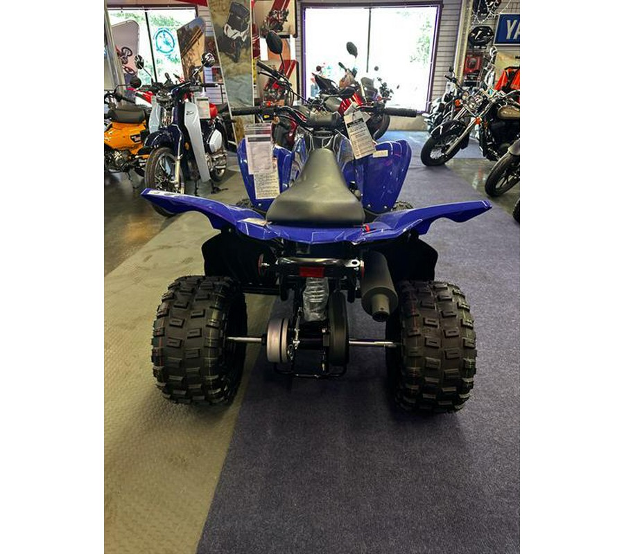 2024 Yamaha Raptor 110