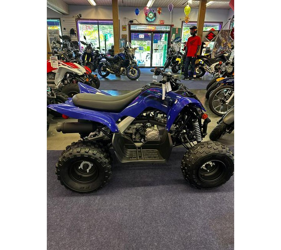 2024 Yamaha Raptor 110