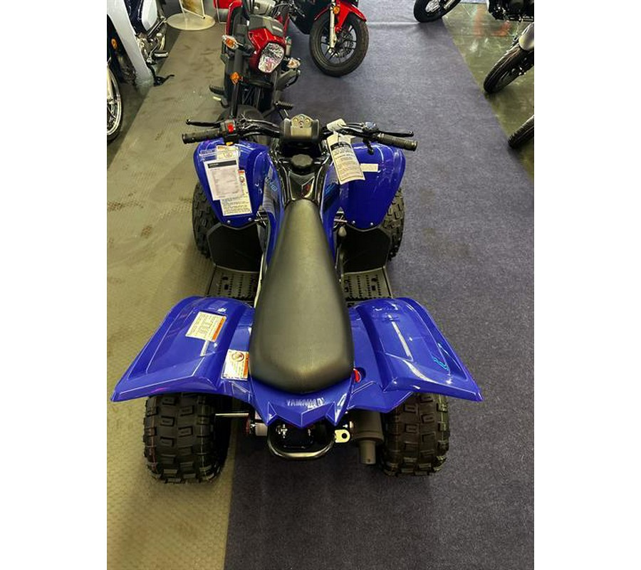 2024 Yamaha Raptor 110