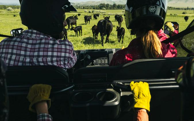 2026 CFMOTO UForce 800 XL