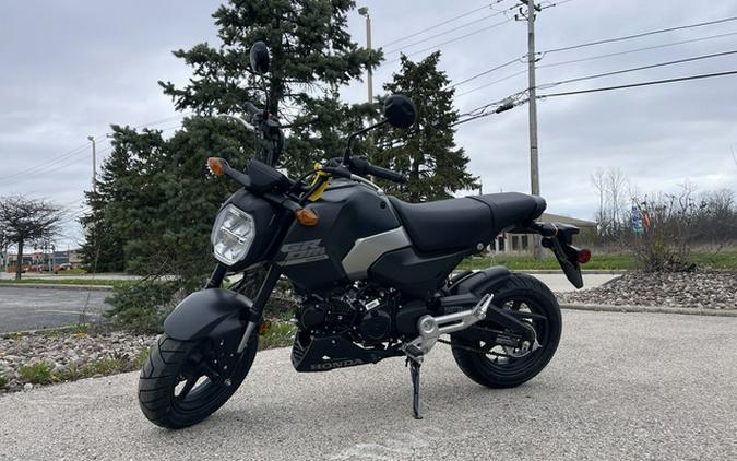 2026 Honda Grom SP