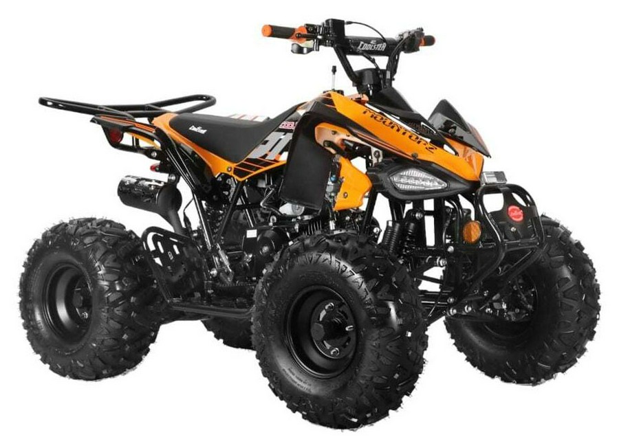 2026 Coolster ATV-3125CX-2
