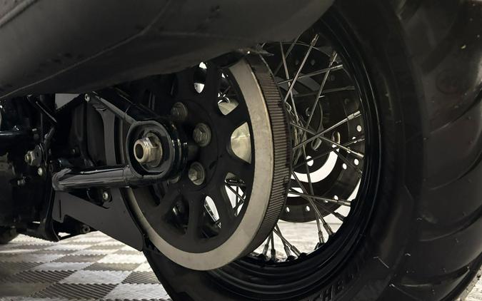 2019 Harley-Davidson Softail Heritage Classic 114