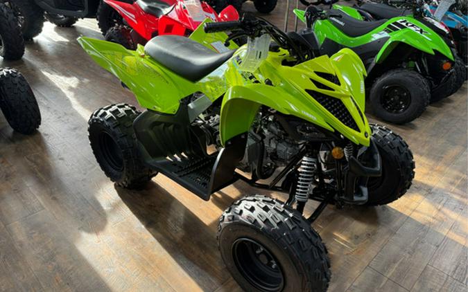 2026 Yamaha Raptor 110