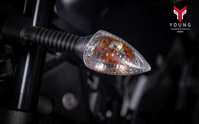 2022 Husqvarna SVARTPILEN 401