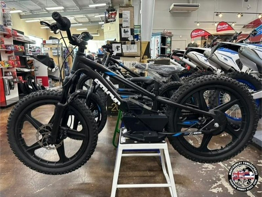 2025 Stacyc 20eDrive