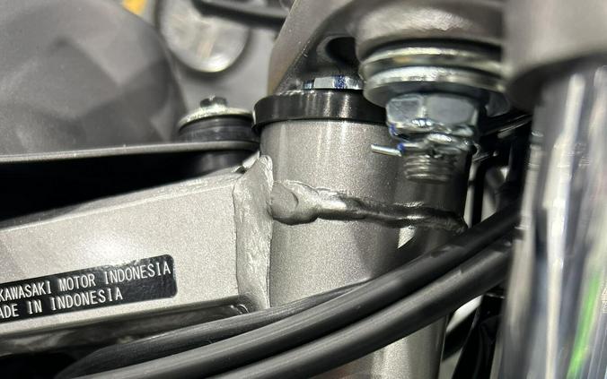 2026 Kawasaki KLX230R