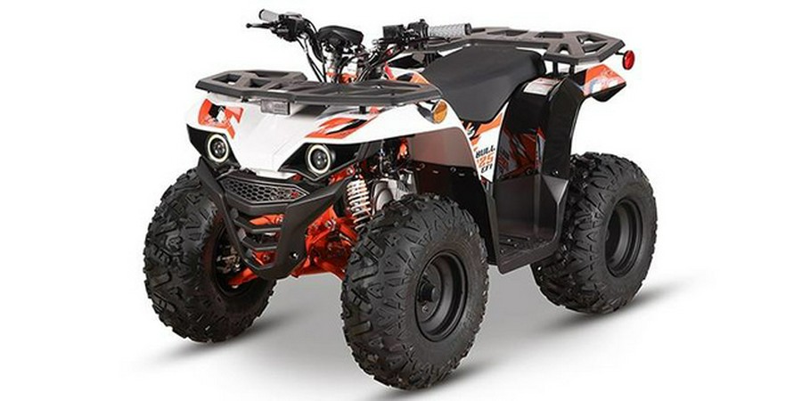 2026 Kayo Bull 125