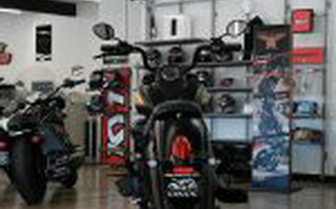 2019 Indian Chief Dark Horse