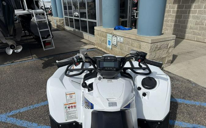 2019 Yamaha Grizzly EPS SE