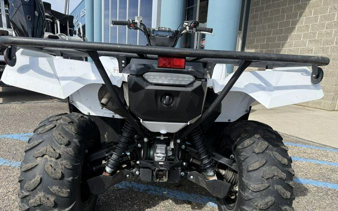 2019 Yamaha Grizzly EPS SE