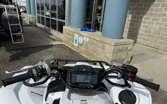 2019 Yamaha Grizzly EPS SE