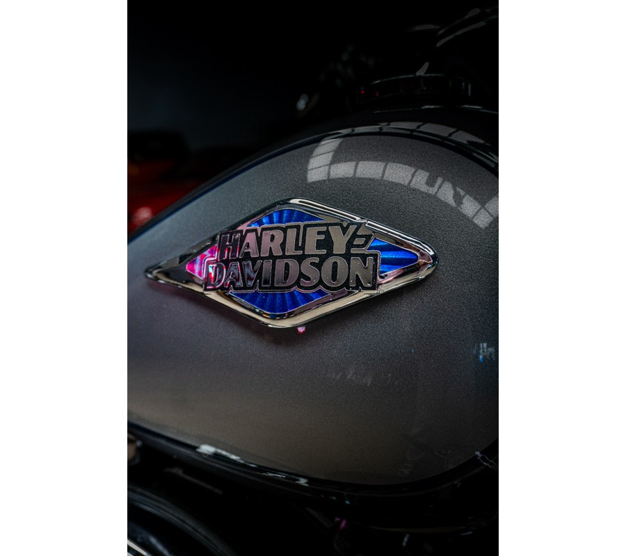 2014 Harley-Davidson Softail