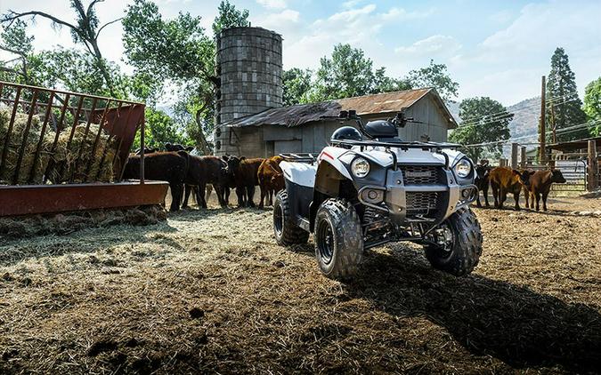 2021 Kawasaki Brute Force 300