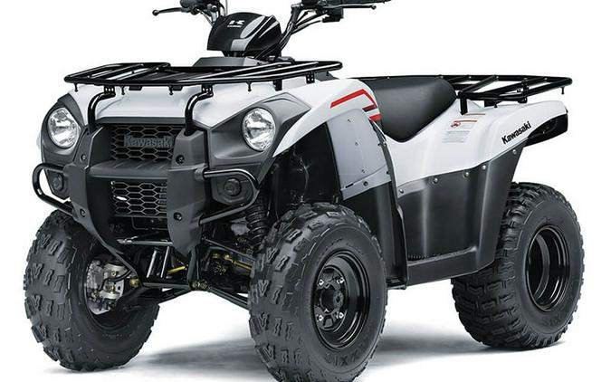 2021 Kawasaki Brute Force 300