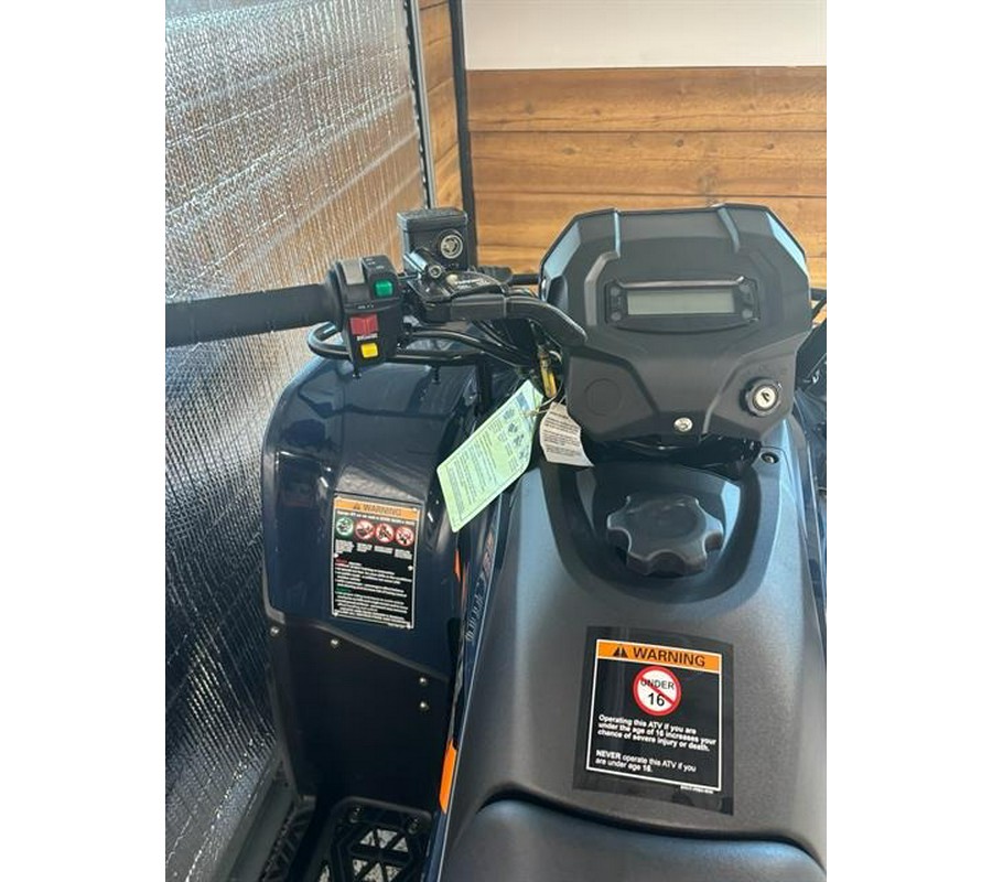 2026 Kawasaki Brute Force® 300