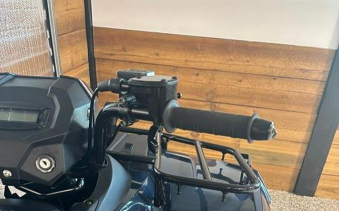2026 Kawasaki Brute Force® 300
