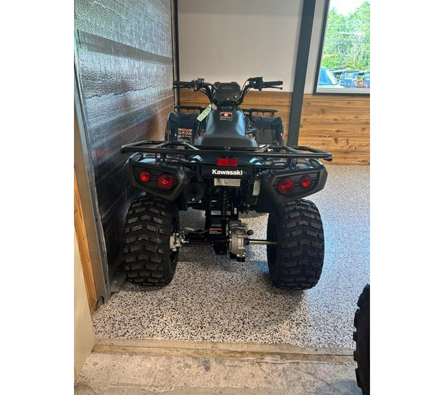 2026 Kawasaki Brute Force® 300