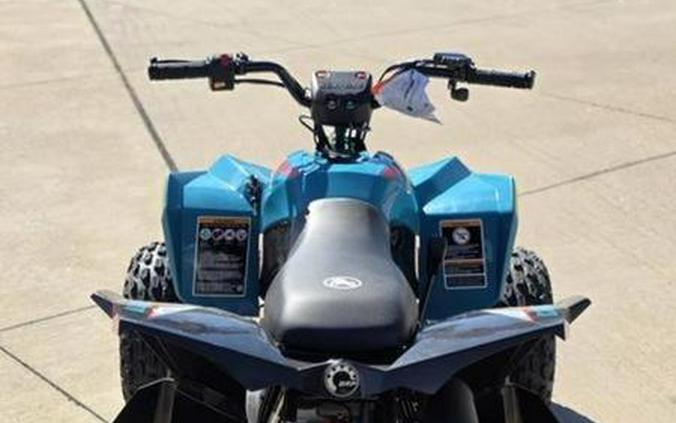 2026 Can-Am® Renegade 110 EFI