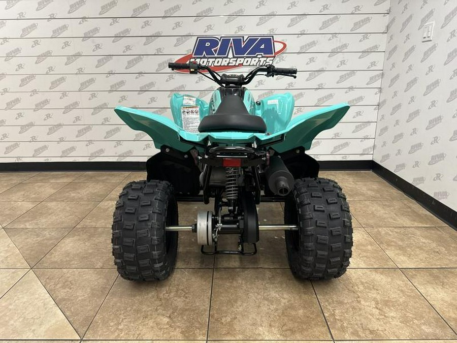 2025 Yamaha Raptor 110