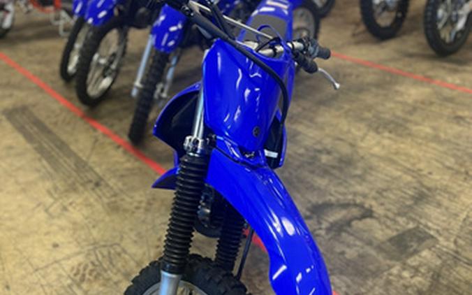 2025 Yamaha TT-R230 CA