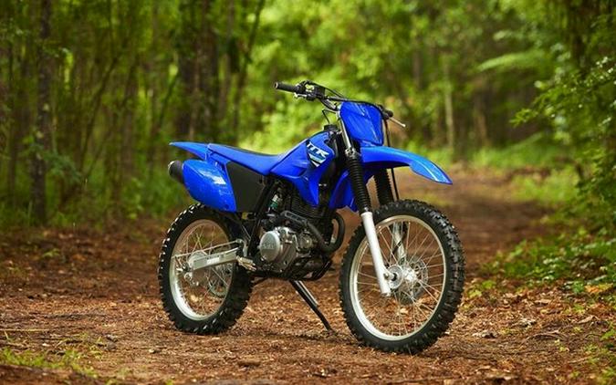 2025 Yamaha TT-R230 CA
