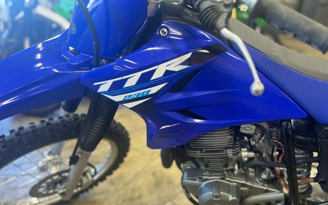 2025 Yamaha TT-R230 CA
